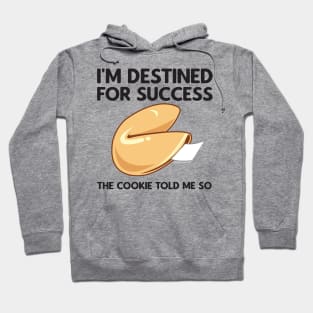 Destined for Success Hoodie